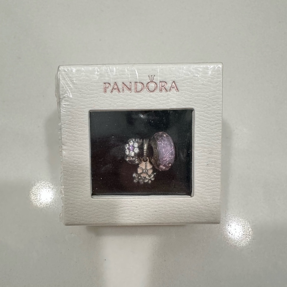 Pandora bracelet charms set